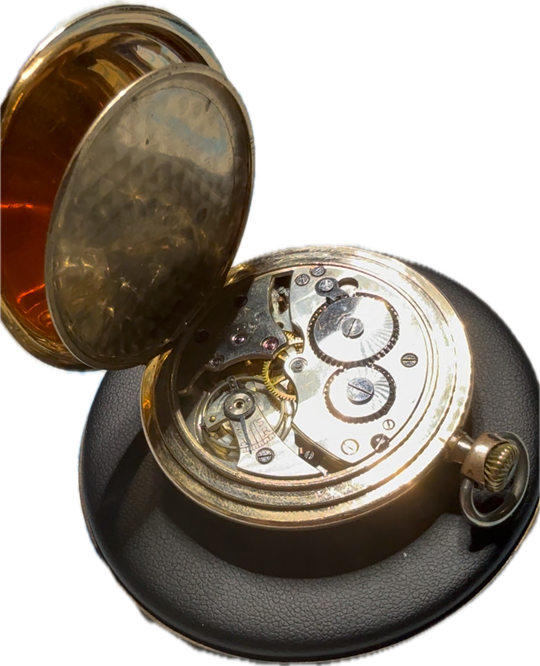 Recent watch build